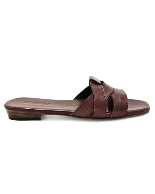 Twister Maroon