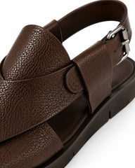 Deodar Brown